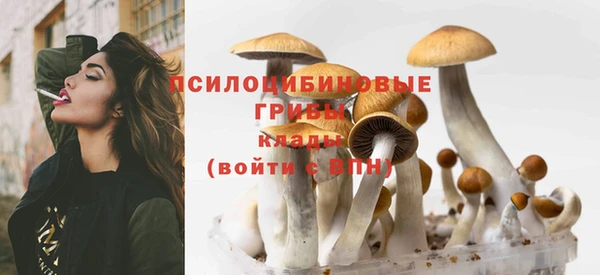 гидропоника Козельск